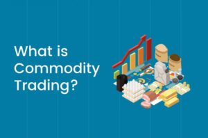 What Is Commodity?